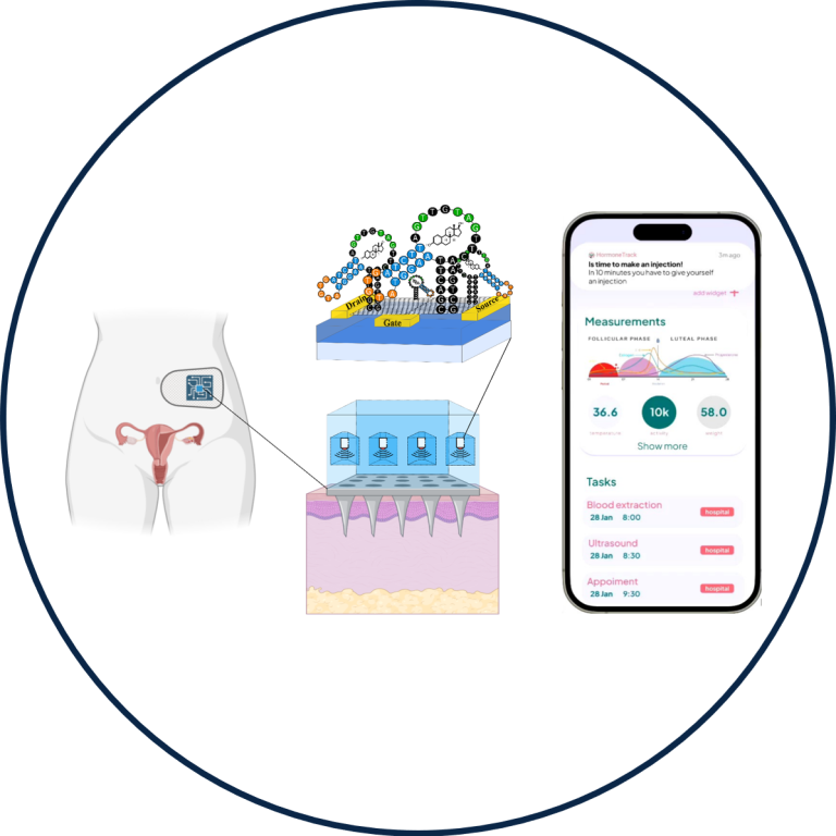 Illustration von einem Uterus, Labortests und einer mobilen App zur Gesundheitsüberwachung.
