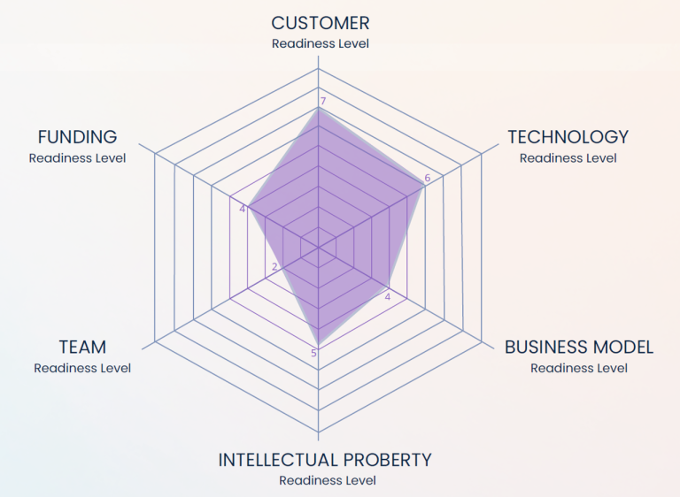 Diagramm mit sechs Achsen zur Bewertung von Kunden, Finanzierung, Technologie, Team, Geschäftsmodell und geistigem Eigentum.